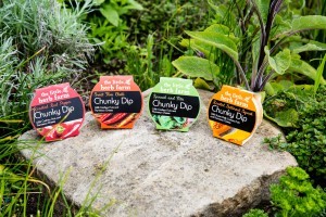 A close-up image of our collection of chunky dips sat on a stone in the garden