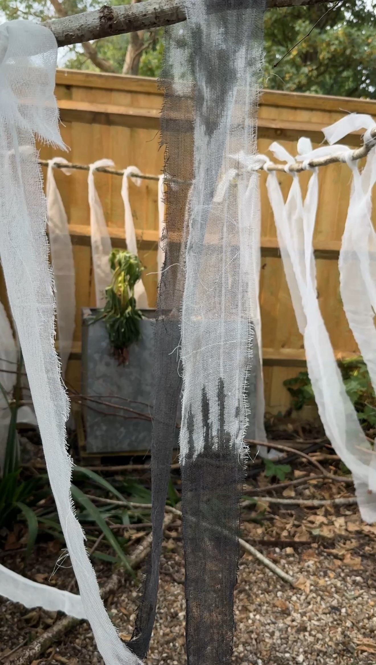 A detailed shot of frayed, translucent grey and white textiles hanging from a branch, emphasizing the delicate, layered textures of the Converging Boundaries project.