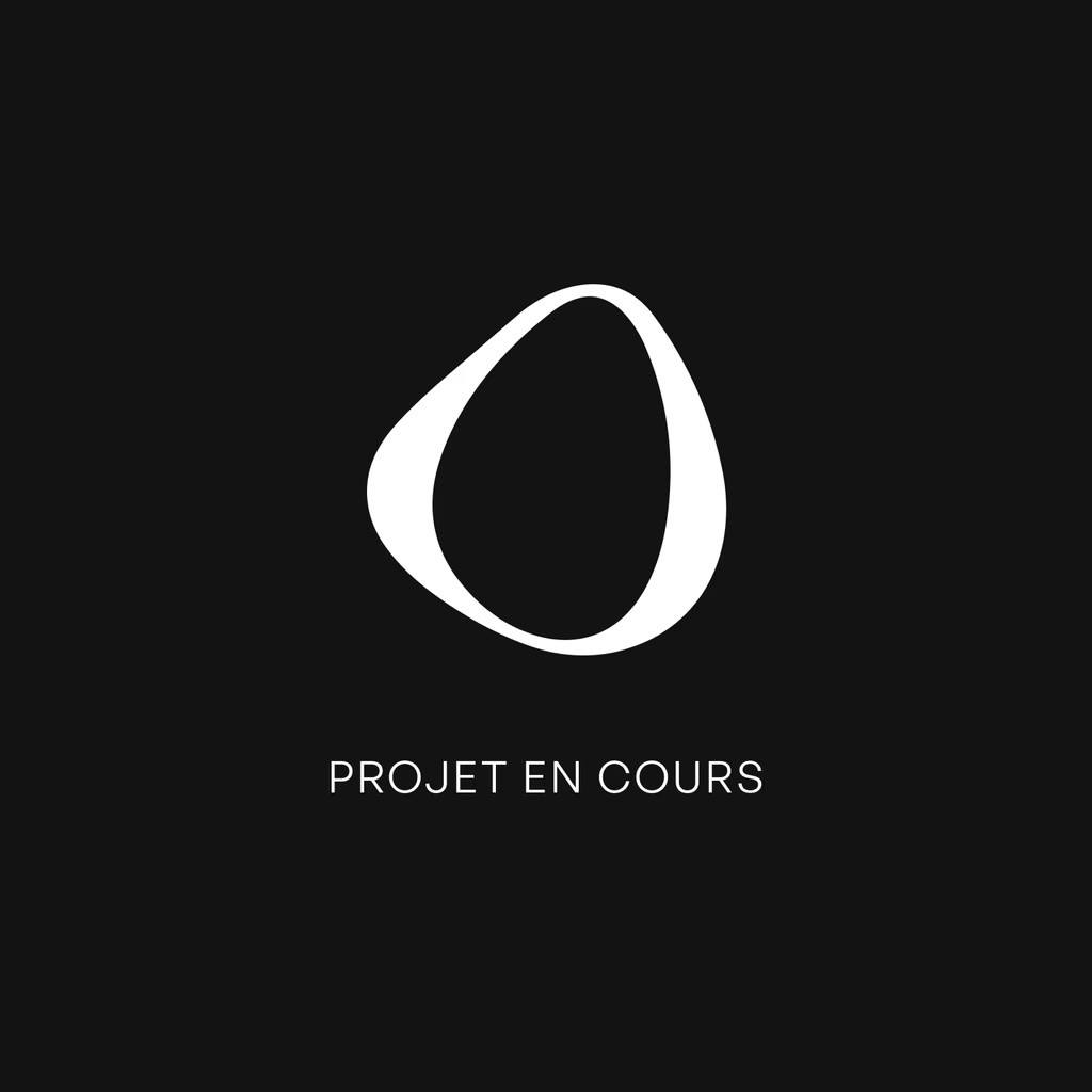 projet en cours