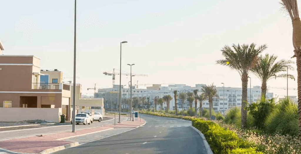 A street lined with palm trees and parked cars under a clear blue sky.