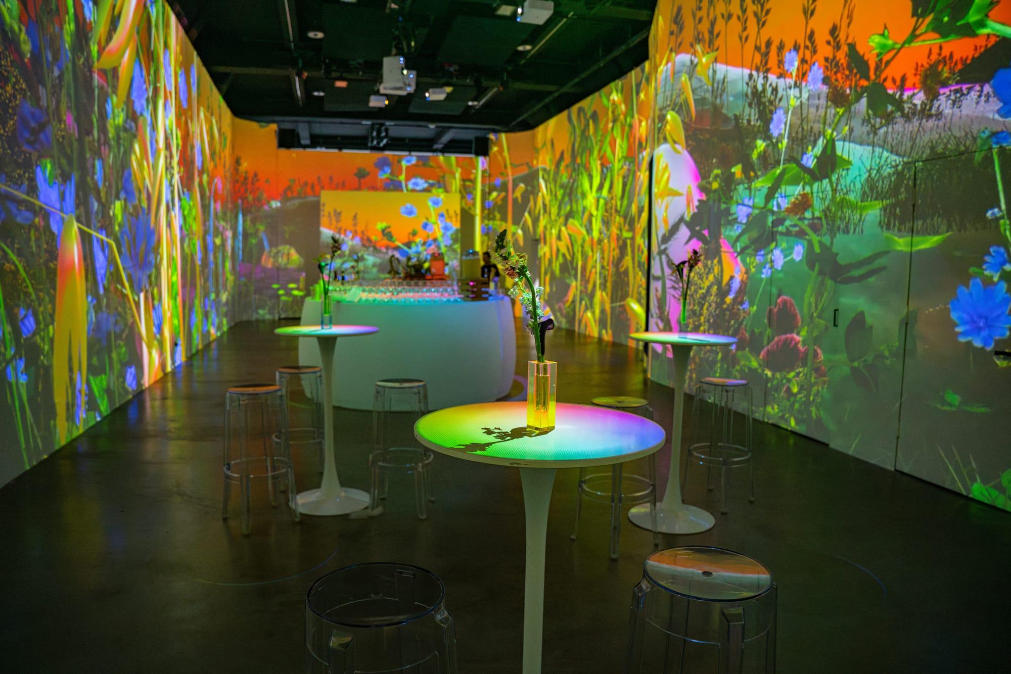 shift-midtown-immersive-venue-colorful-floral-projections_web