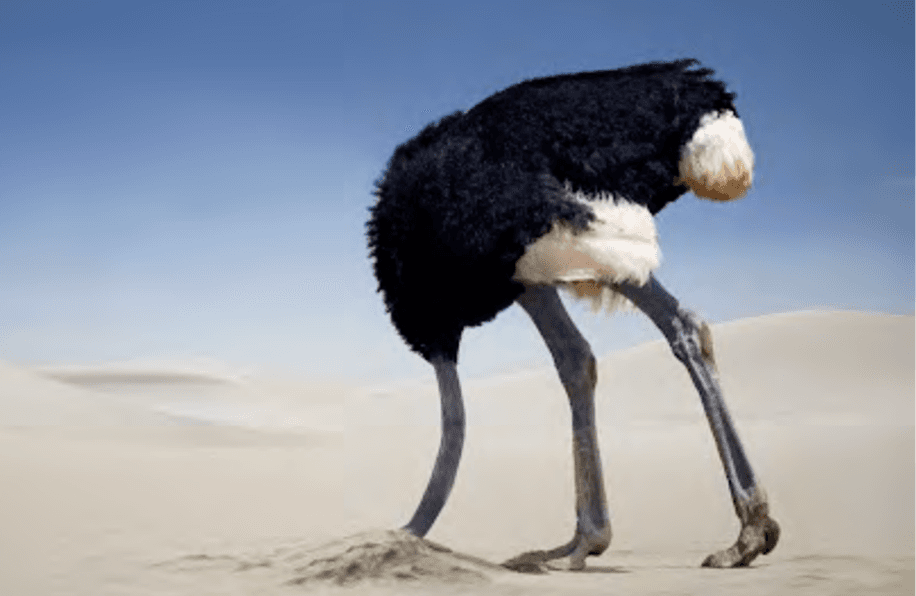 Isometrische Zeichnung eines Bauprojekts mit mehreren Gebäuden und markierten Strukturen in Rot