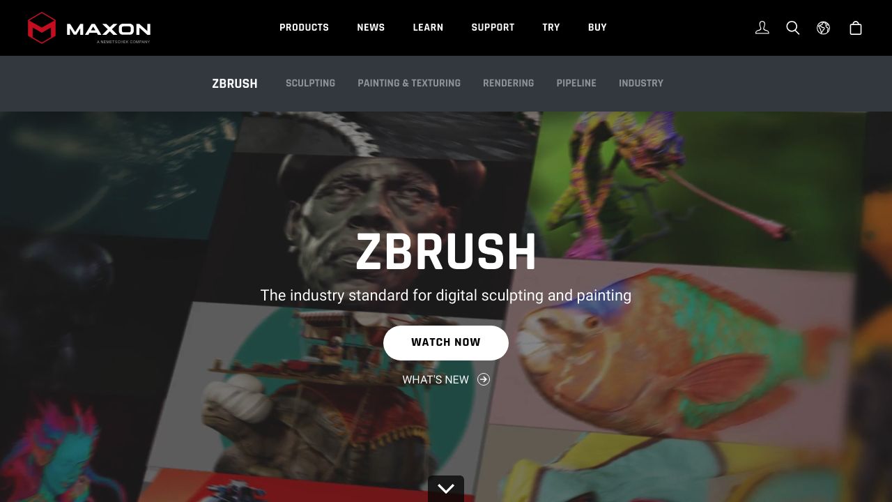 Screenshot of the ZBrush website presenting digital sculpting and painting software for 3D modeling