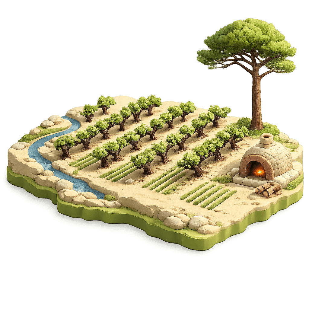 Artistic illustration of the Bairrada wine region.