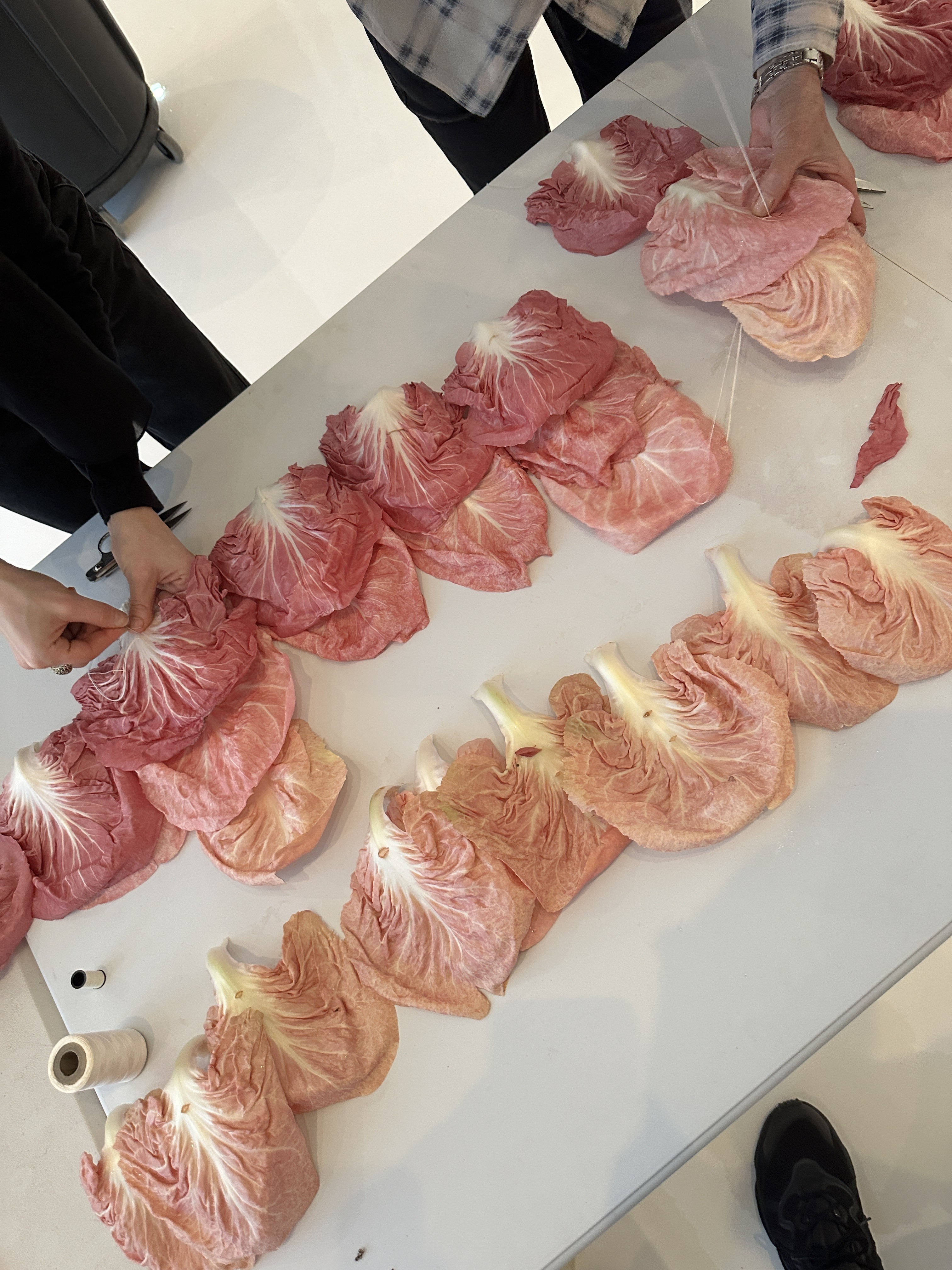 Amuse Bouche, behind the scenes image 5