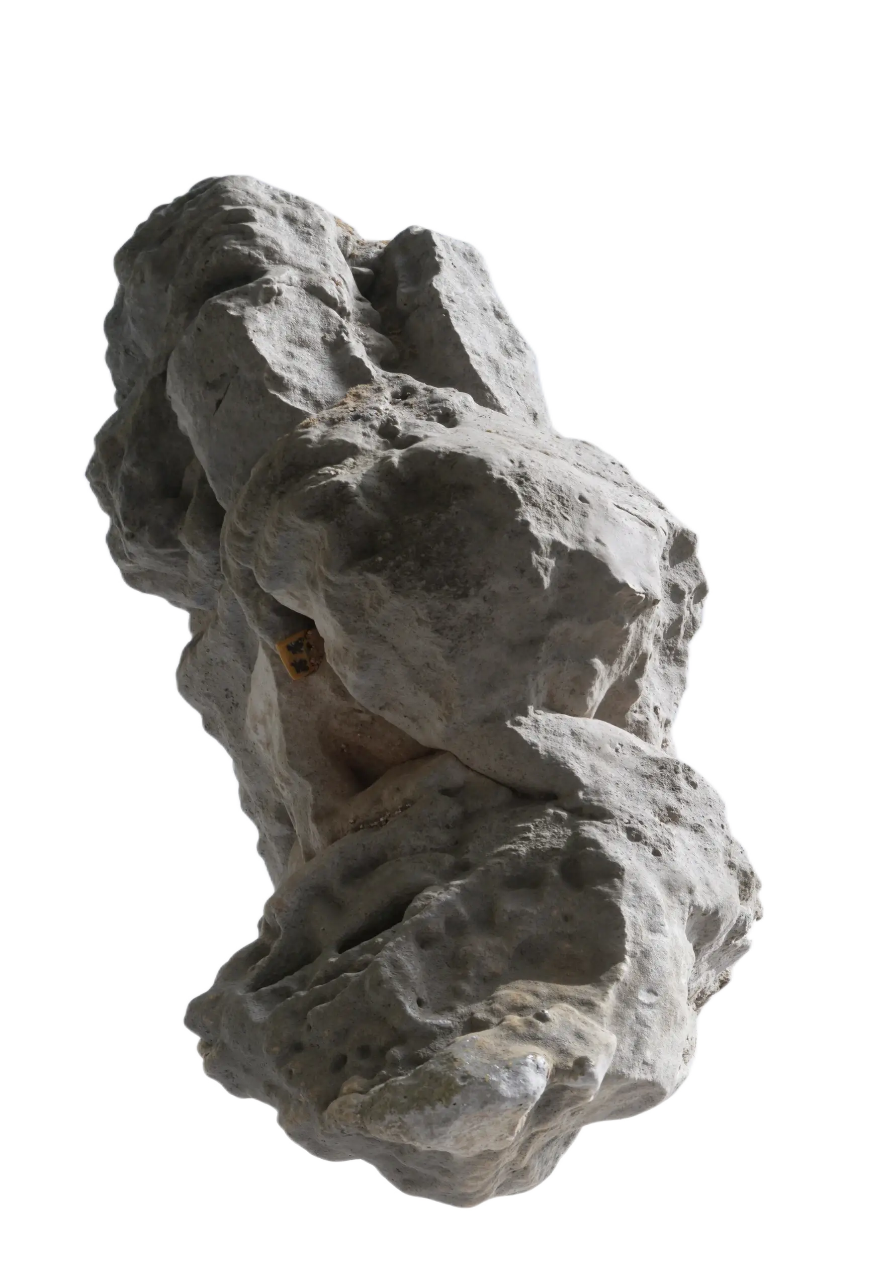 Back image