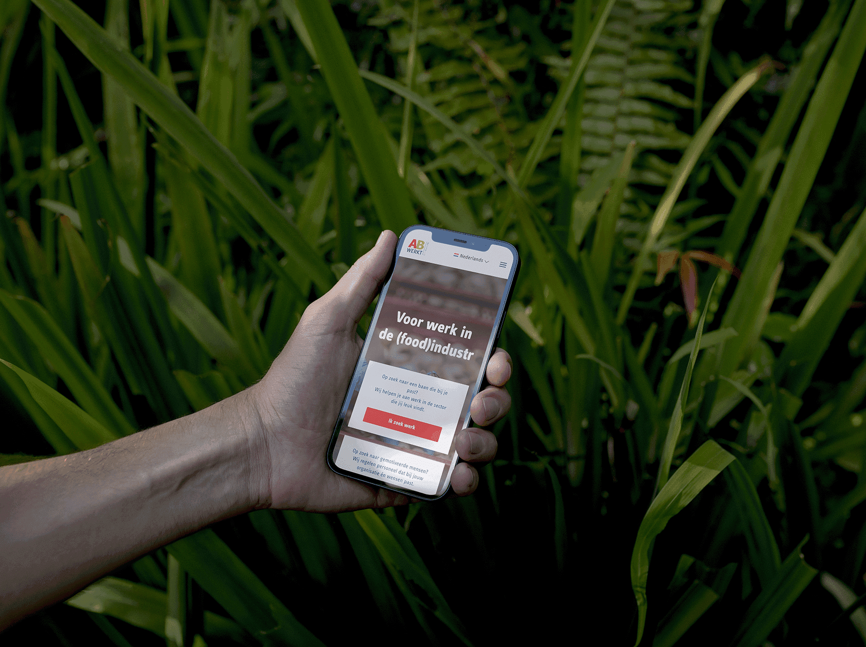Shot of a phone near grass with a website open