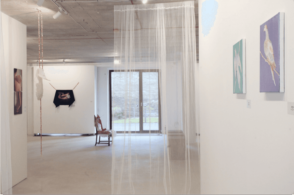 Cut Art Gallery Riga - Contemporary Art