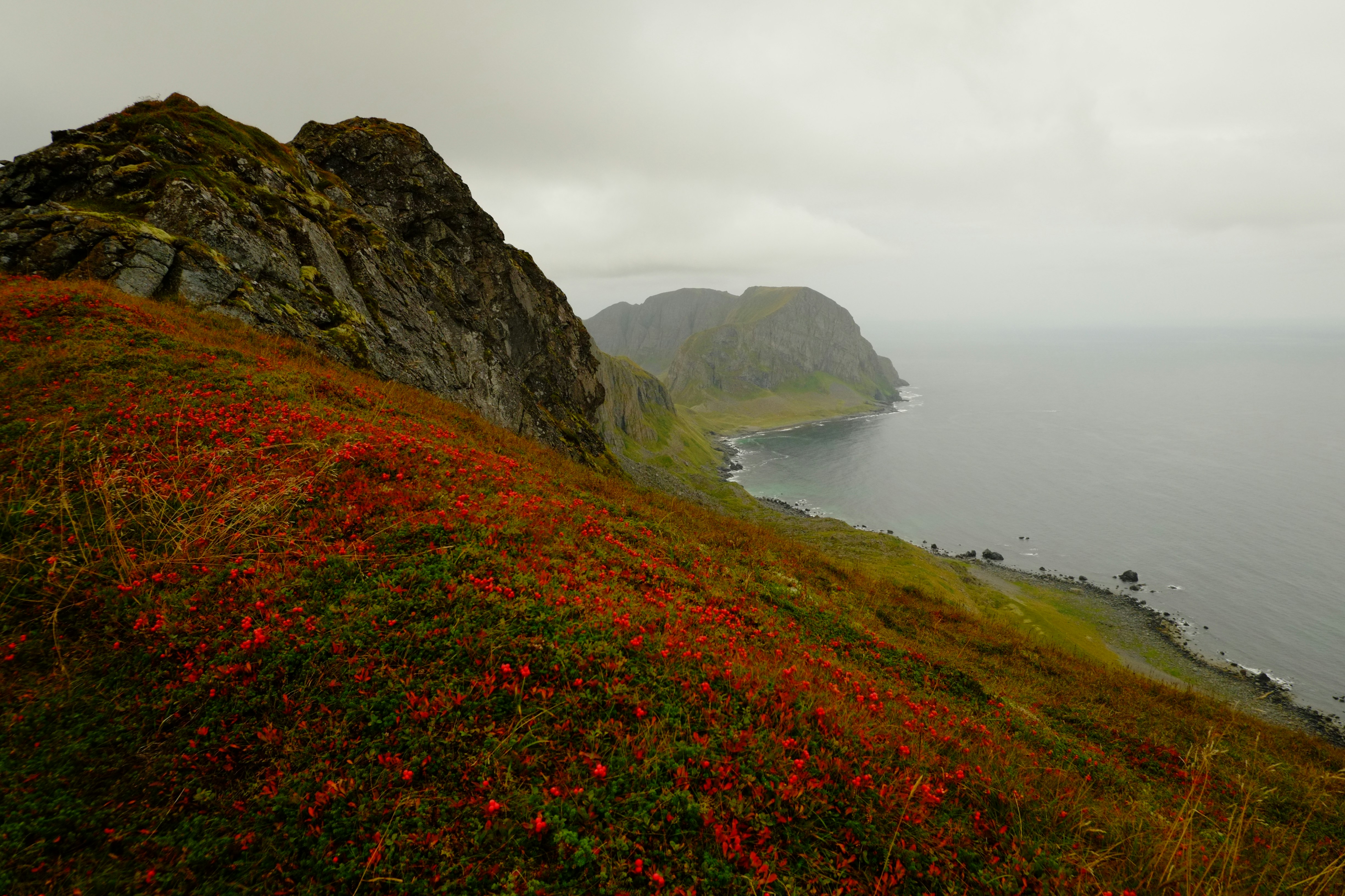 Coastal mountains with autumn foliage and ocean view.