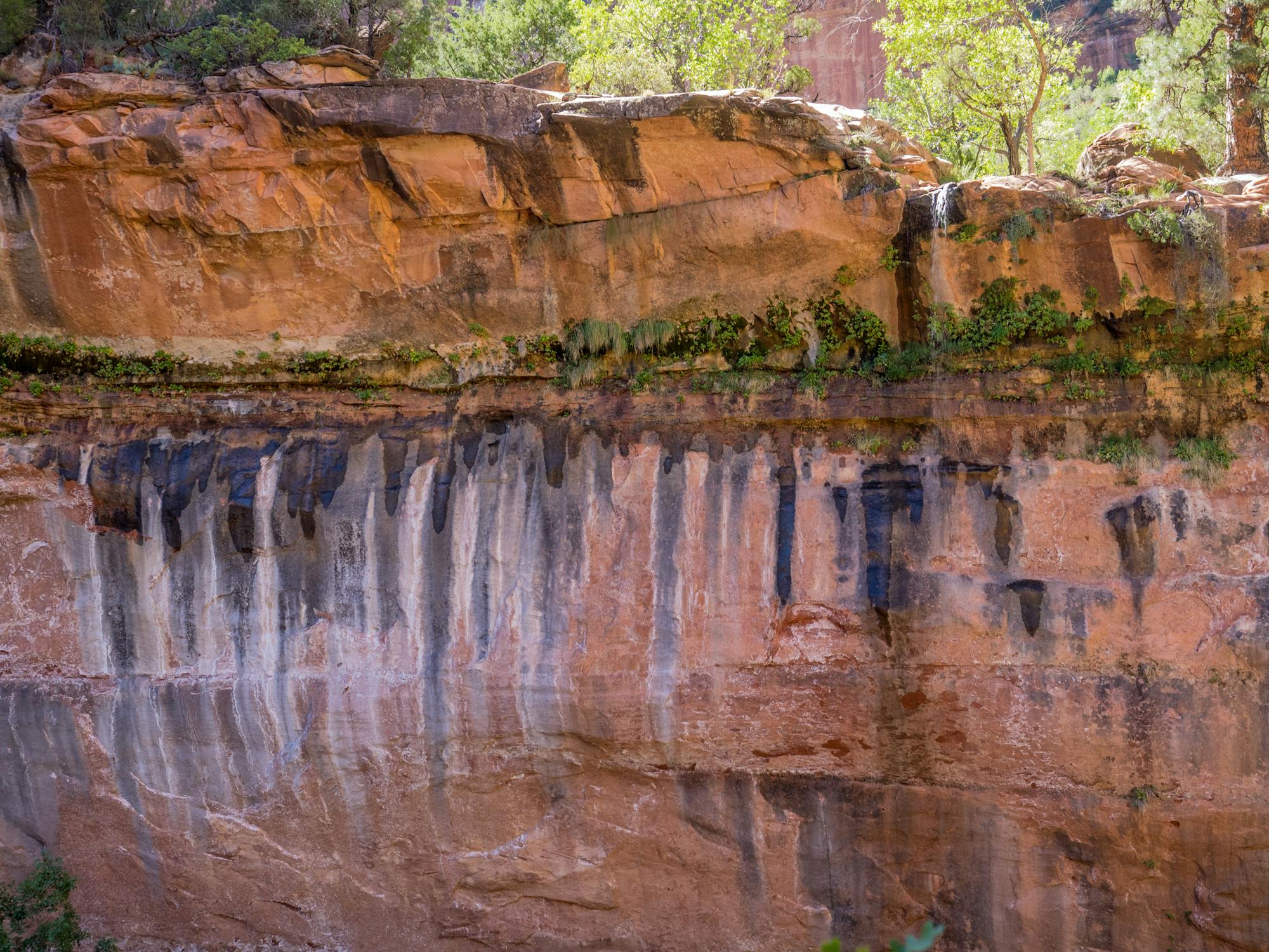 Solar panels in a field with energy storage containers nearby