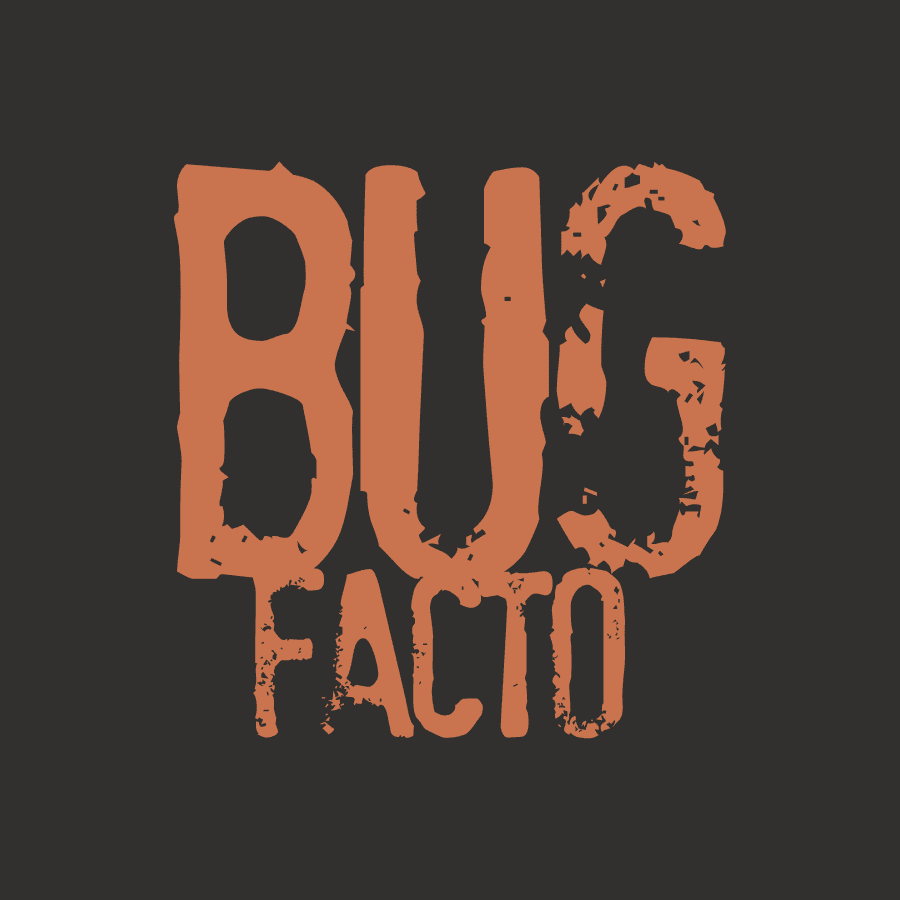 Logo de la plateforme Bug Facto en orange avec un effet de texture usée sur fond noir.