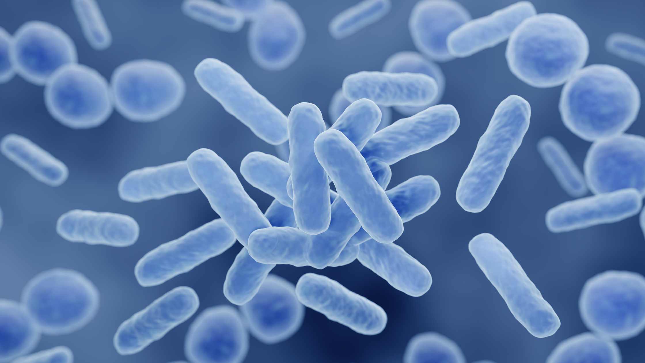 3D illustration of pale blue rod-shaped and spherical bacteria against a dark blue background