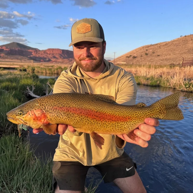 Male team member photo