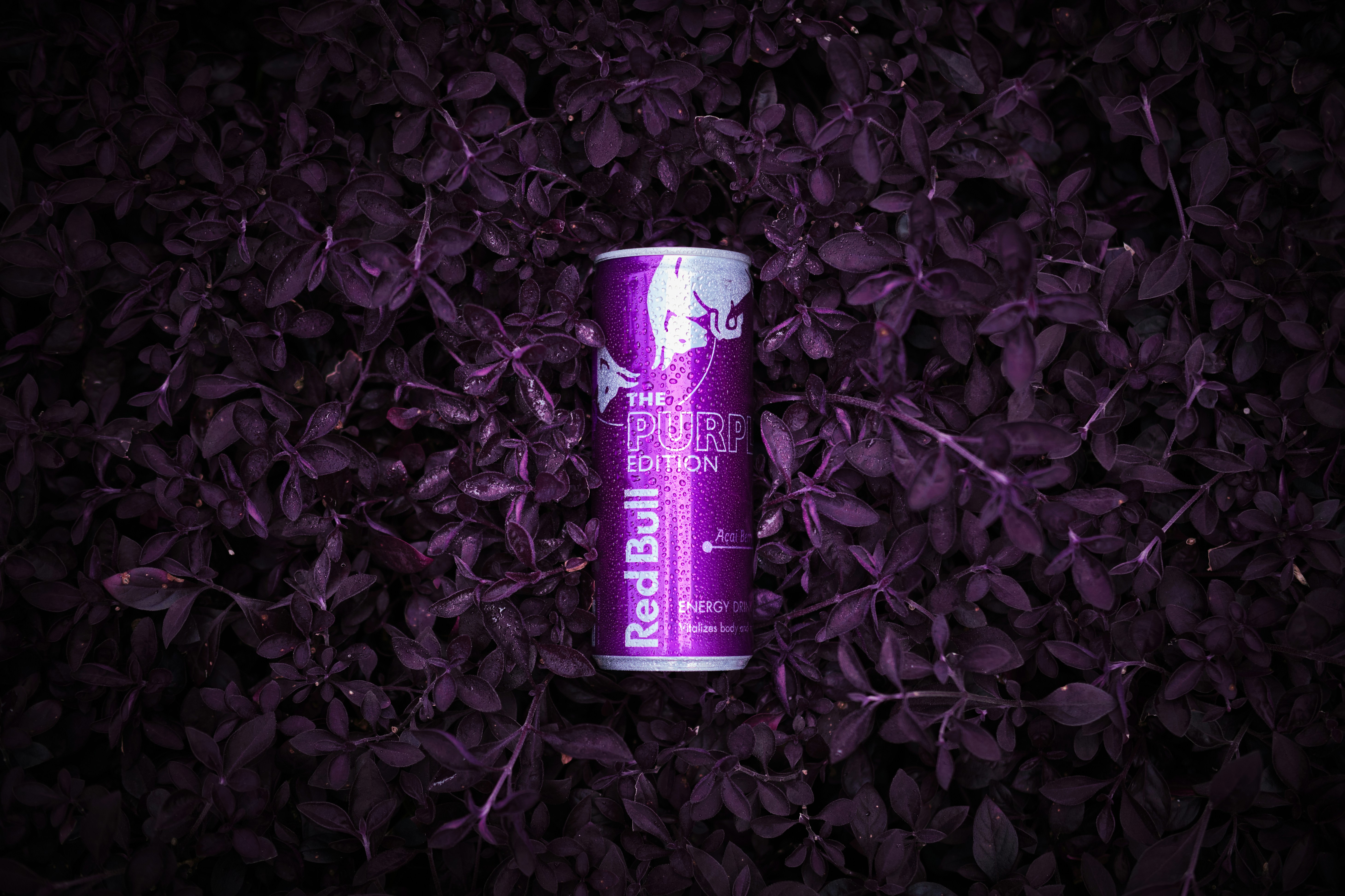 AI-generated product model photography for realistic visuals