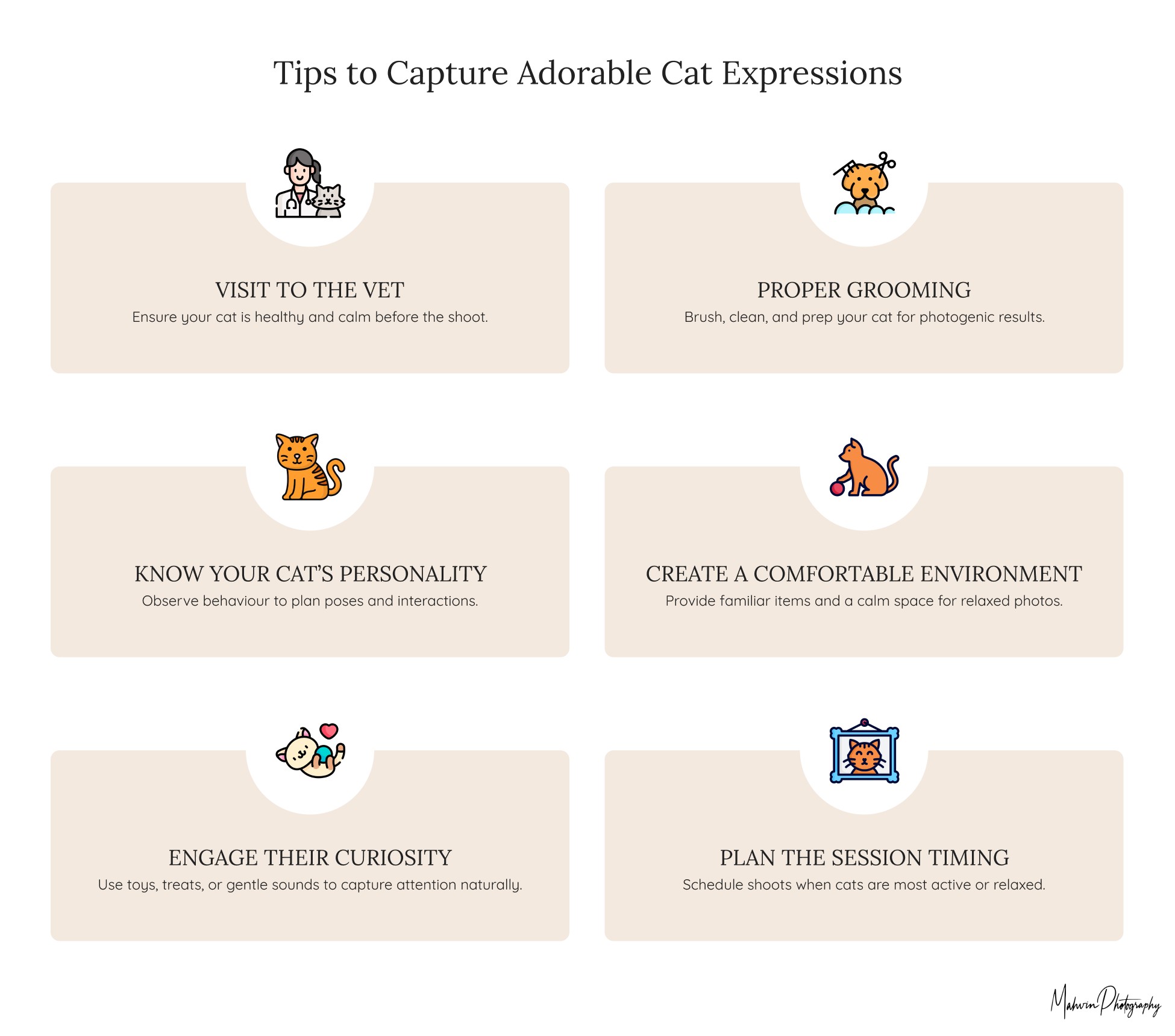 Cat photoshoot tips, from vet visit to grooming, personality, timing, and curiosity for cute cat photos by Mahvin Photography.