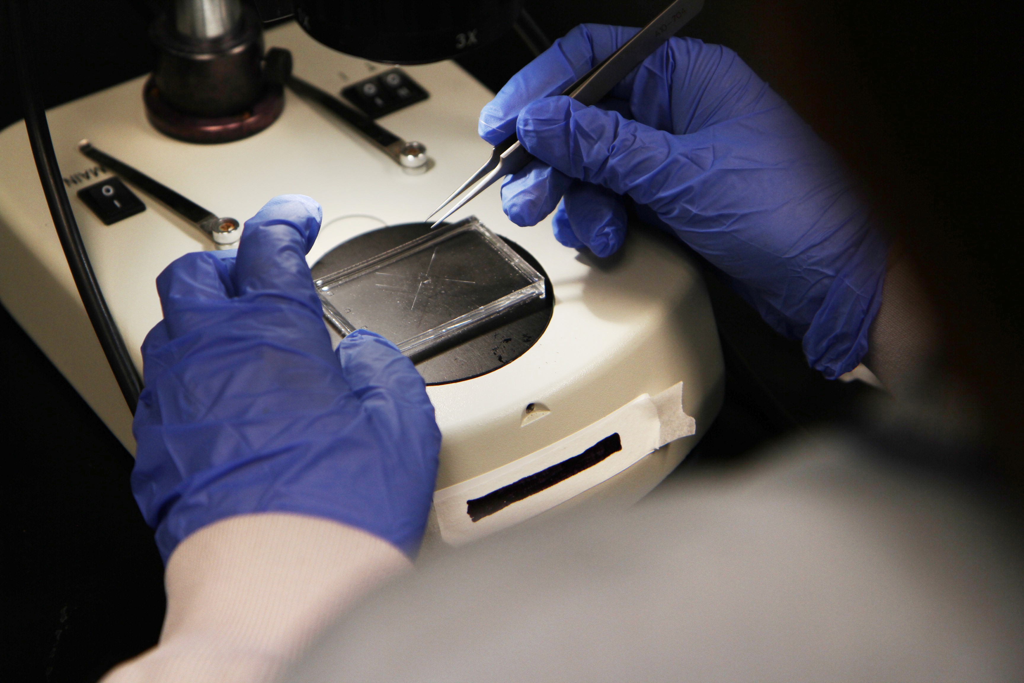 Under the microscope and hands