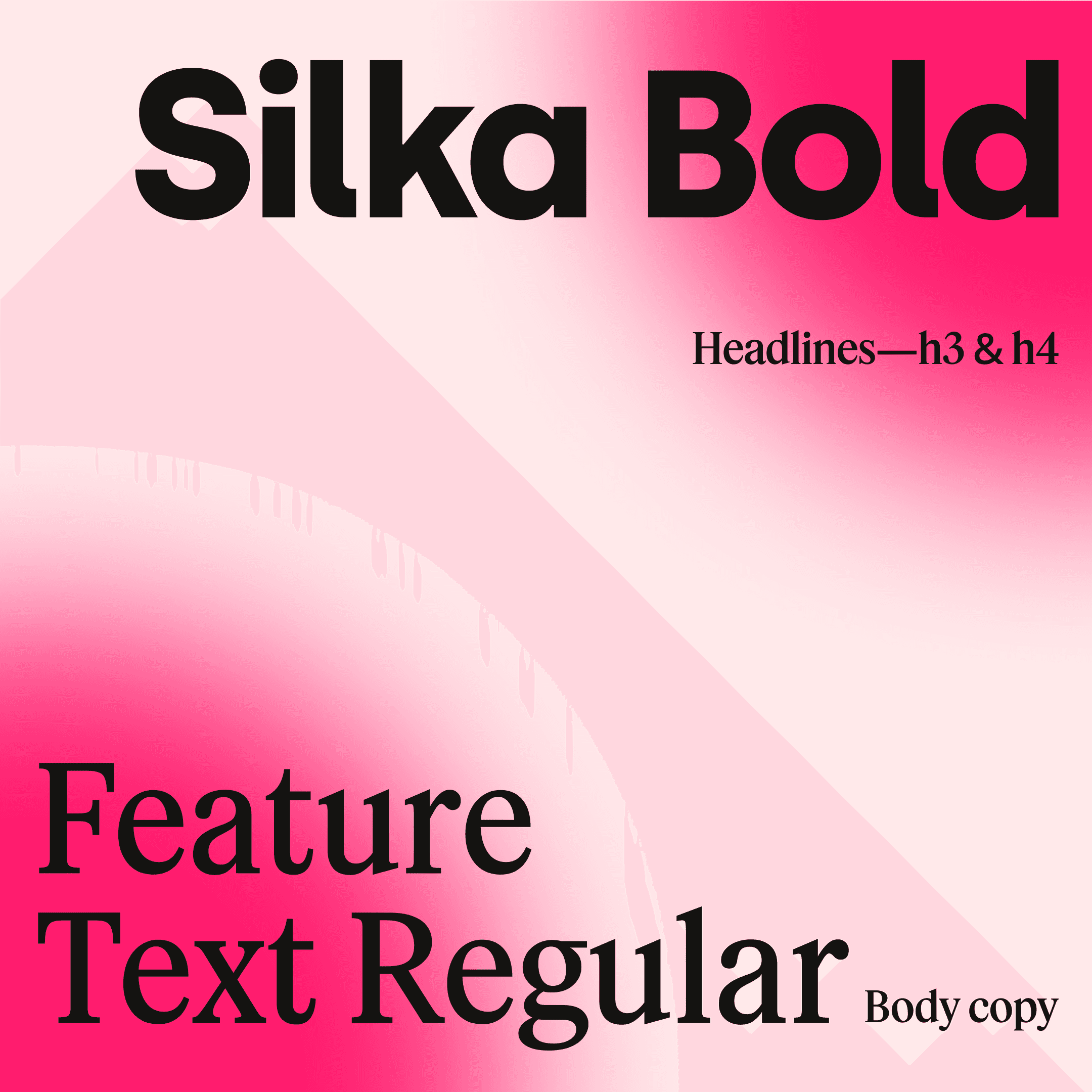Student Loan Strategist Silka + Feature Text typefaces.