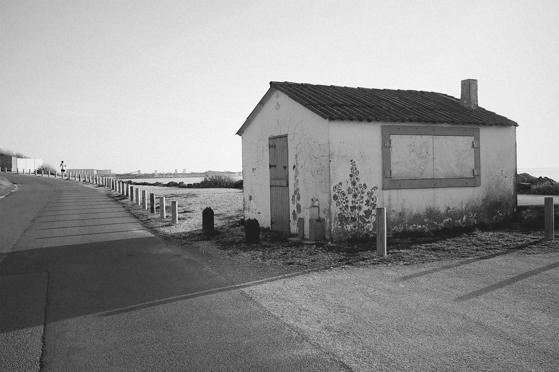 ILFORD HP5 Plus film emulation