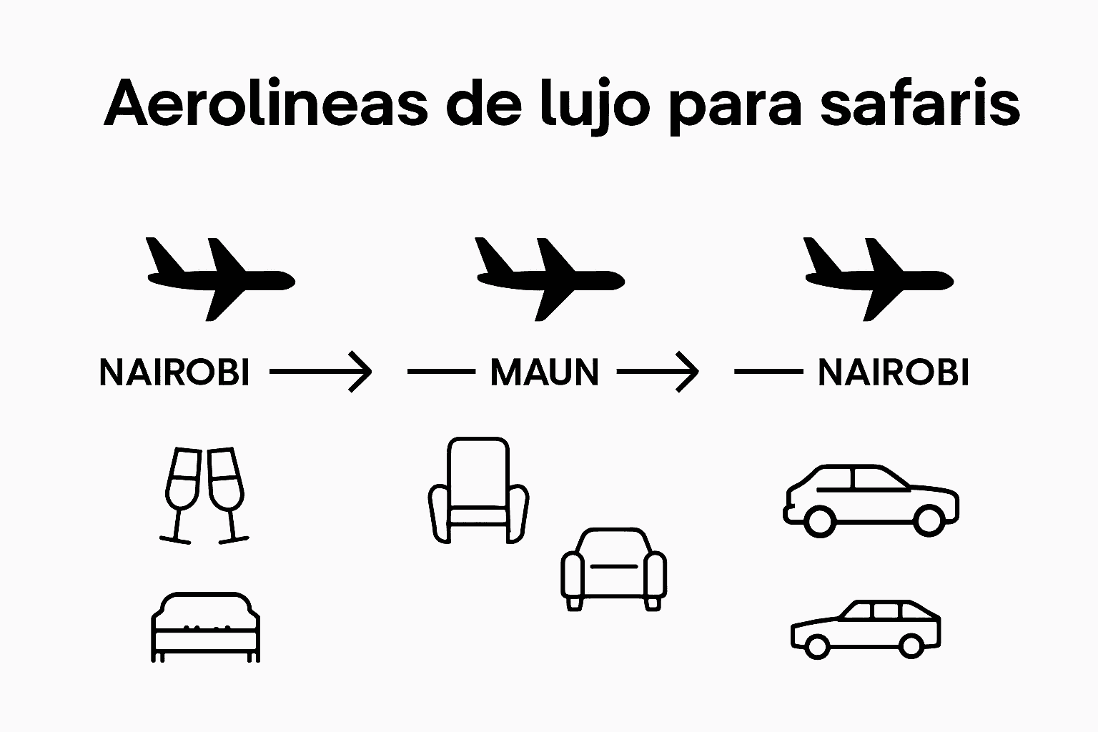 Guía visual para elegir la mejor aerolínea de safari de lujo
