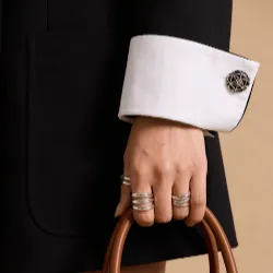 Handbag and Rings