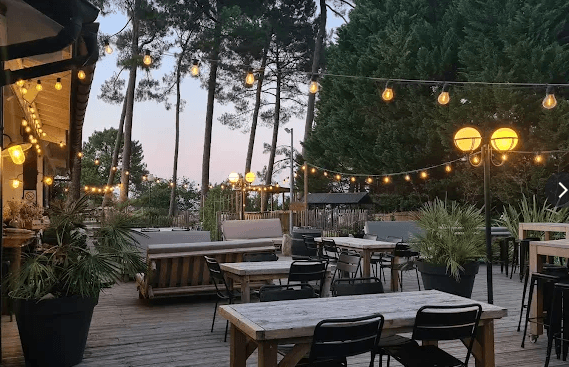A beautifully set dining table with white tablecloth, cutlery, and fresh greenery in a cozy, well-lit space.