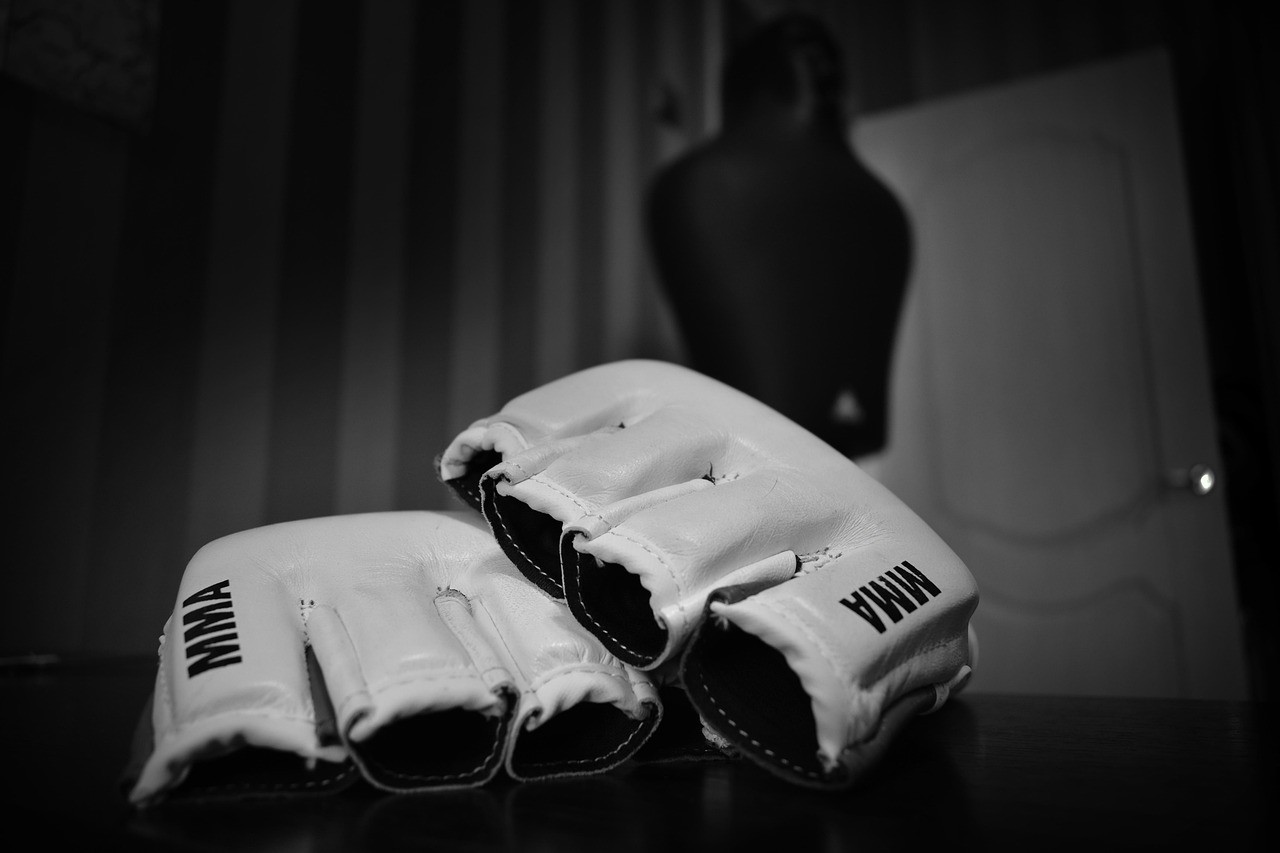 gloves,-fighter,-fight,-sports,-martial-arts,-workout,-hobby,-pear,-mma,-mma,-mm - av_photographer (pixabay)