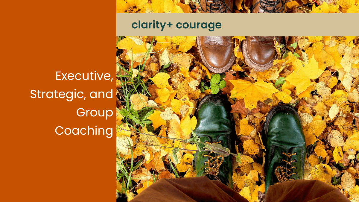 Adventure picture of hiking in the forest that says Executive Team and Talent Coaching with the caption clarity plus courage