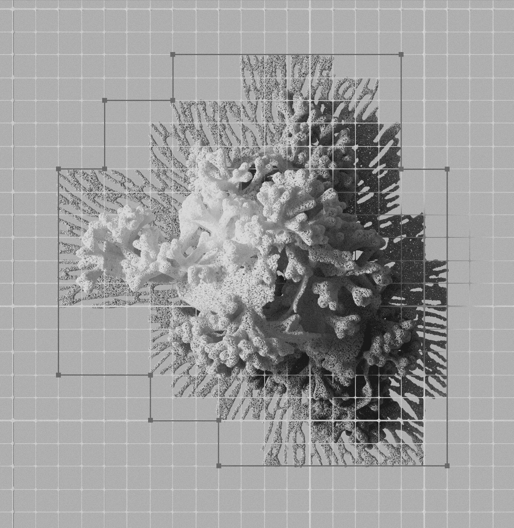A dense spiky mass exploding outward from a central point on a grid background