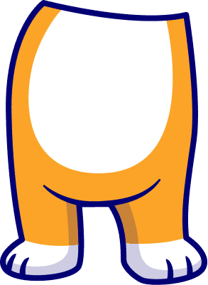 Cat body