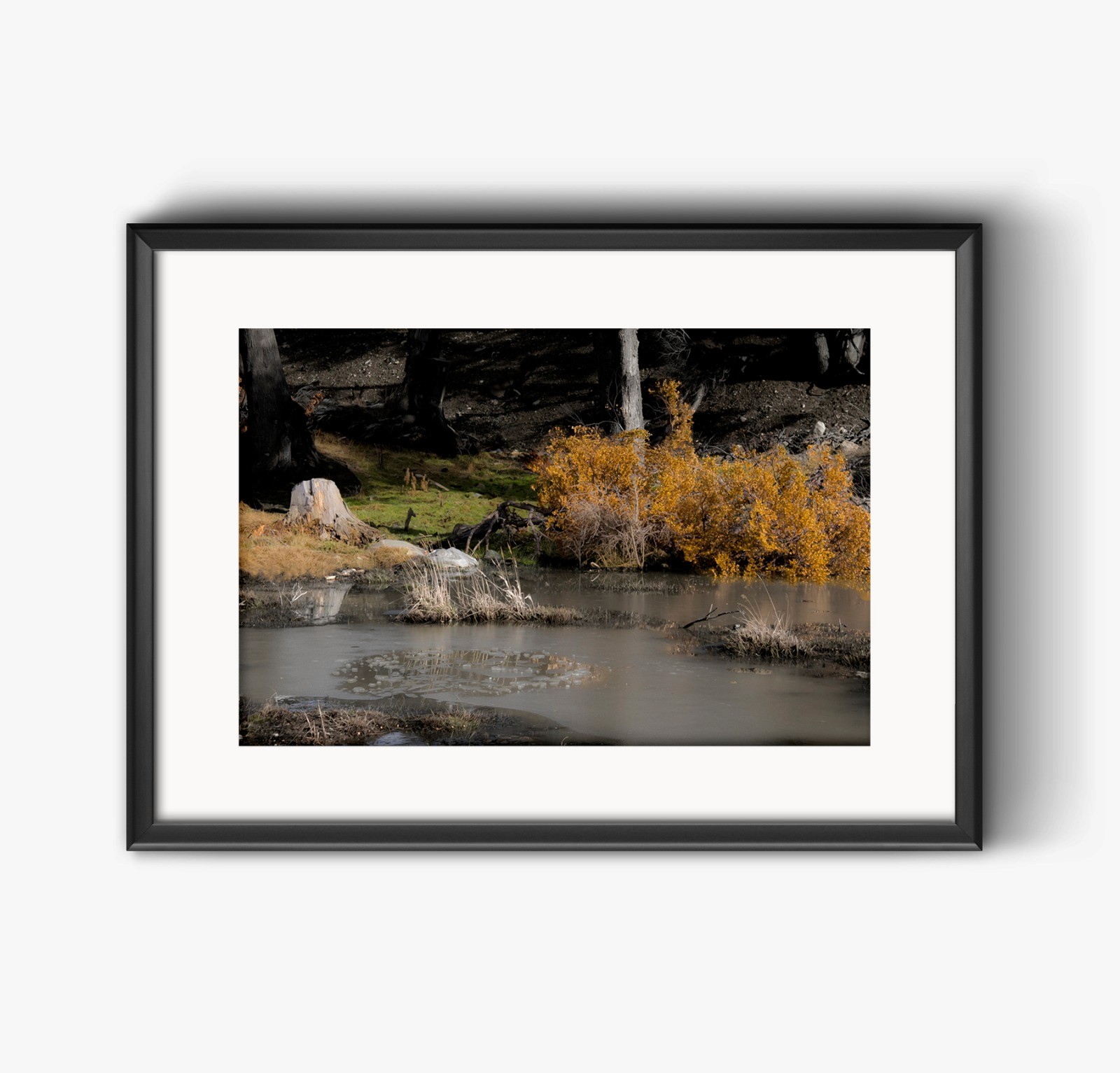 Framed fine art photography print