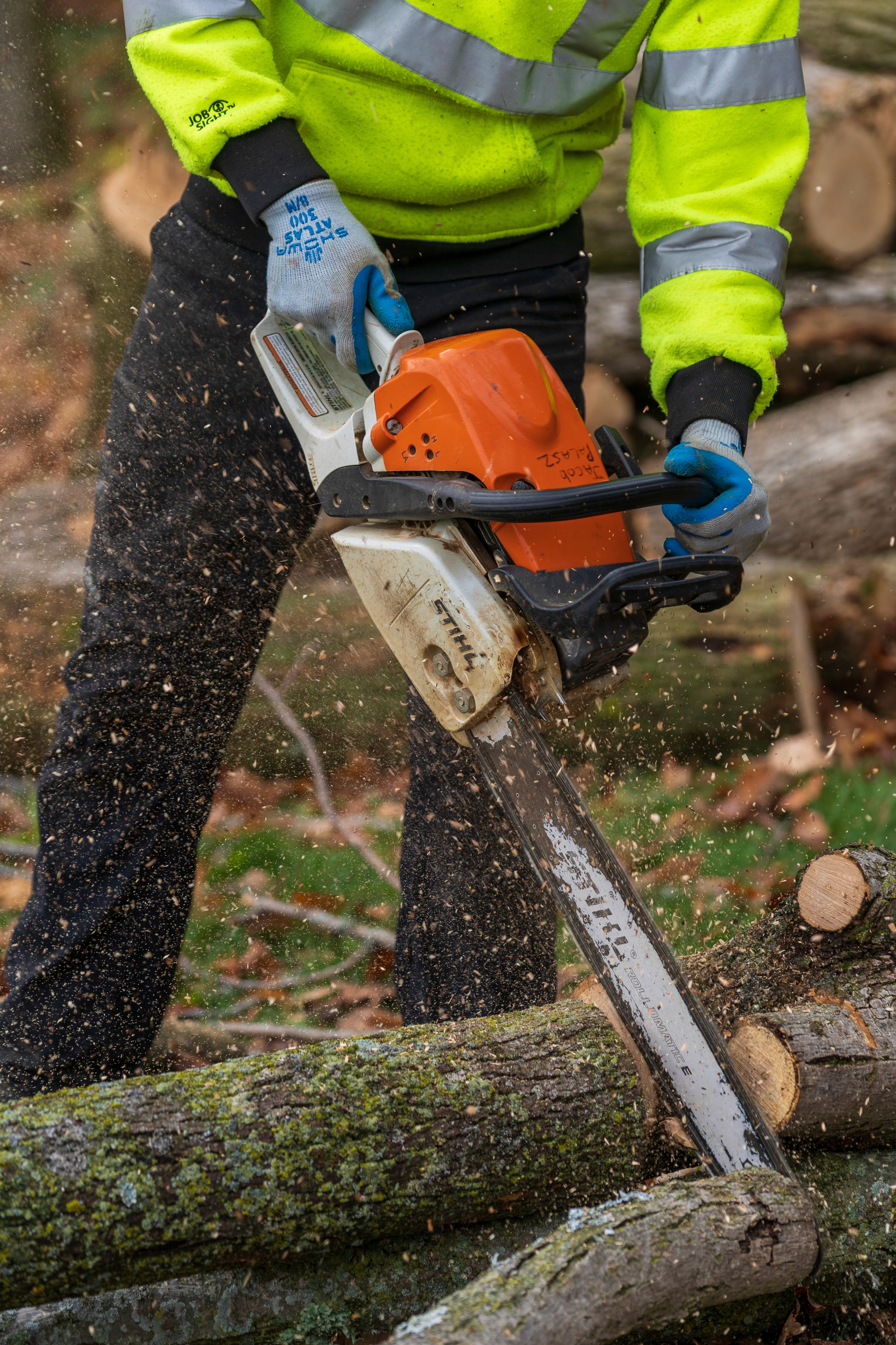 Tree climber secured with ropes while pruning limbs above a residential property