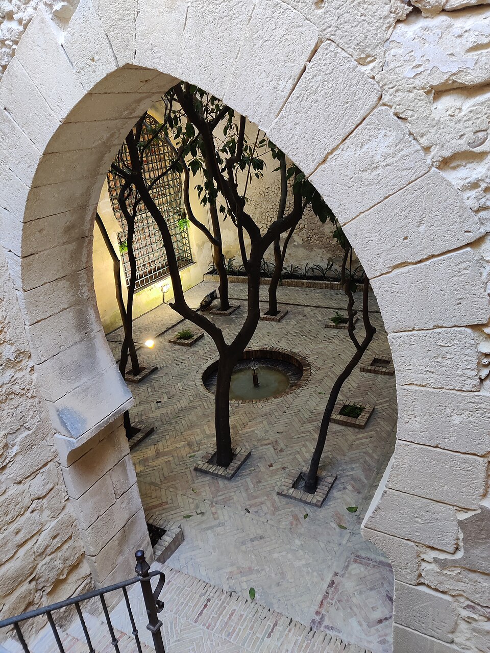 a tree with pink flowers in front of a store