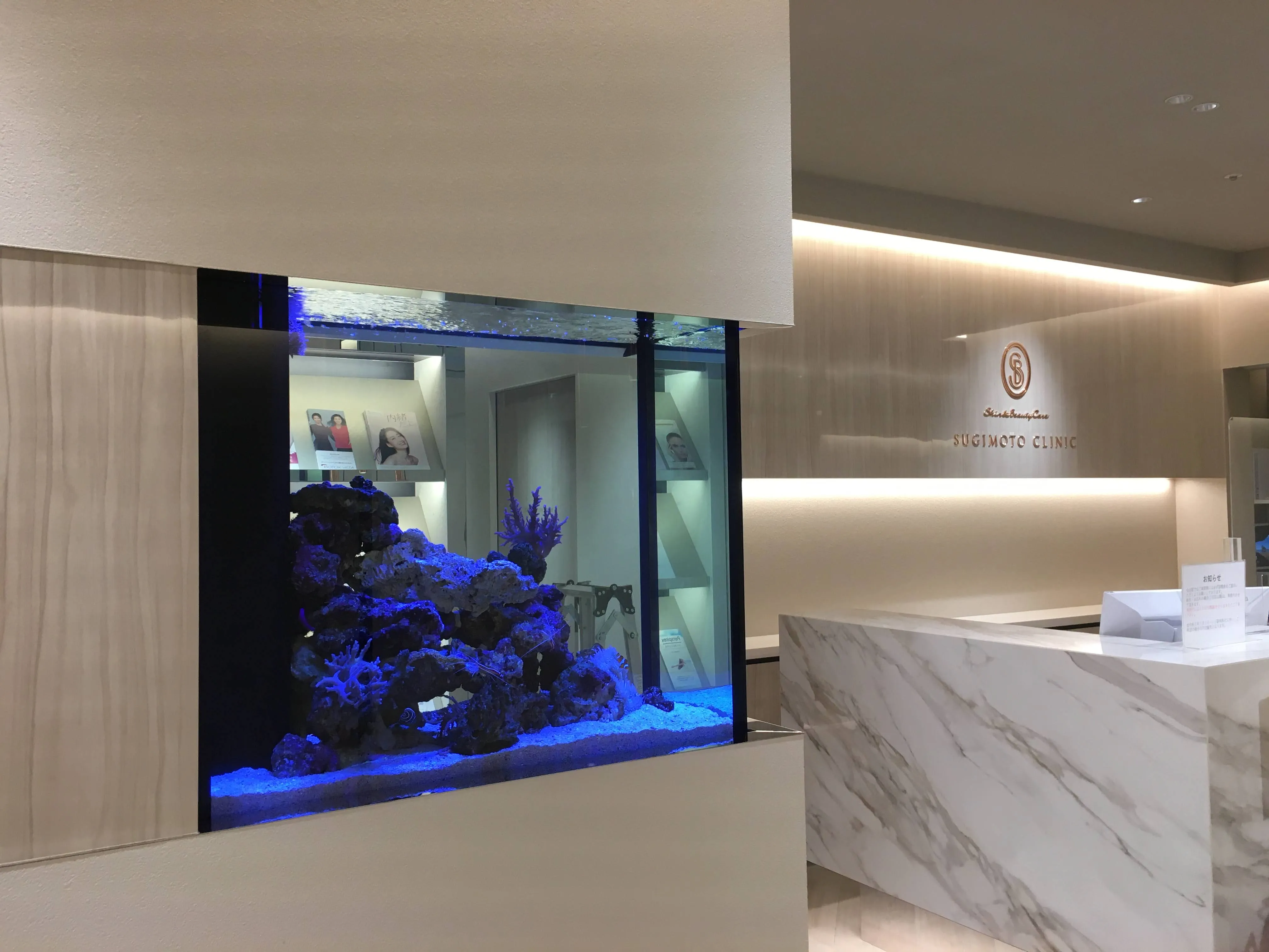 壁面に埋め込まれた海水アクアリウムによる空間一体型レイアウト