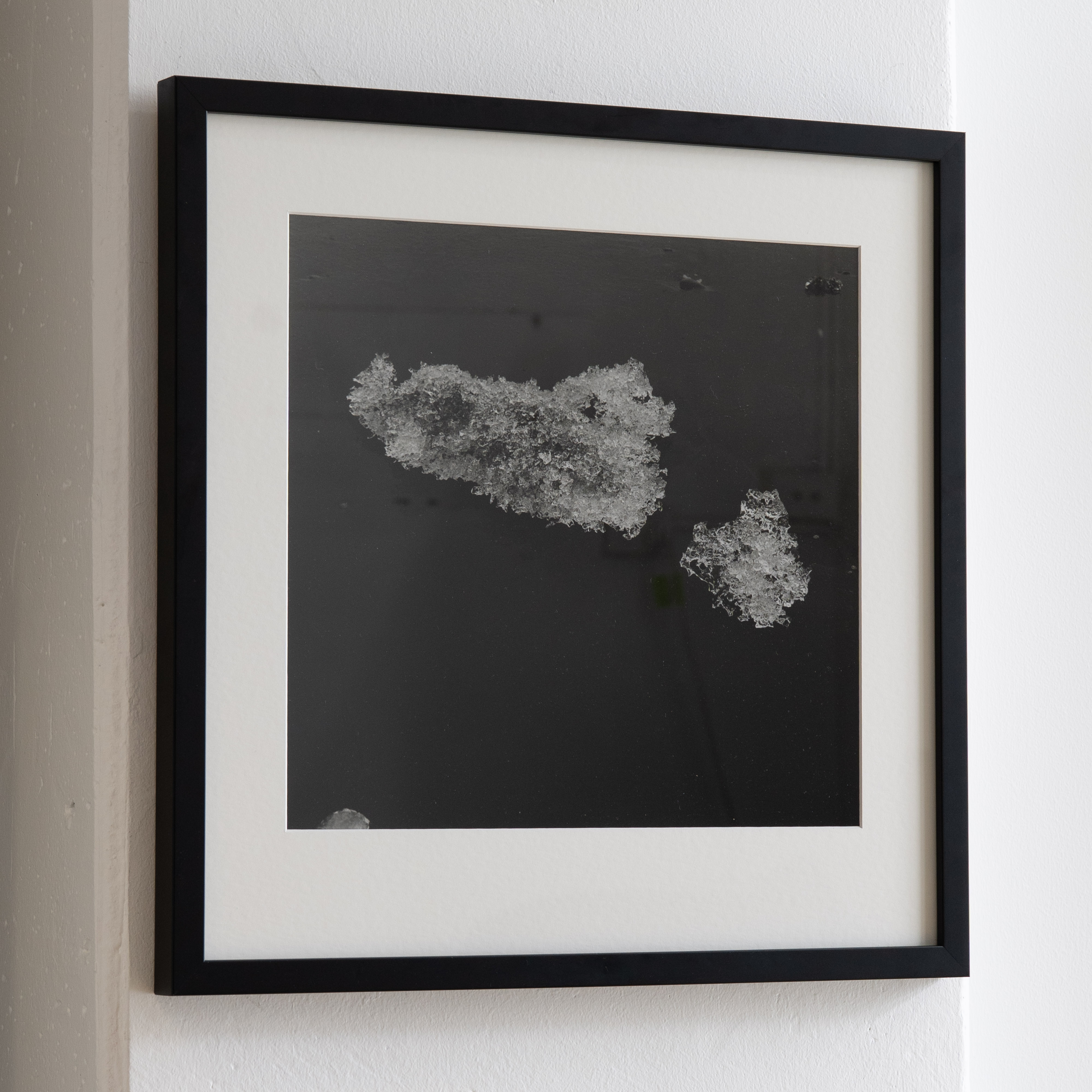 Darkroom prints drying on wire racks