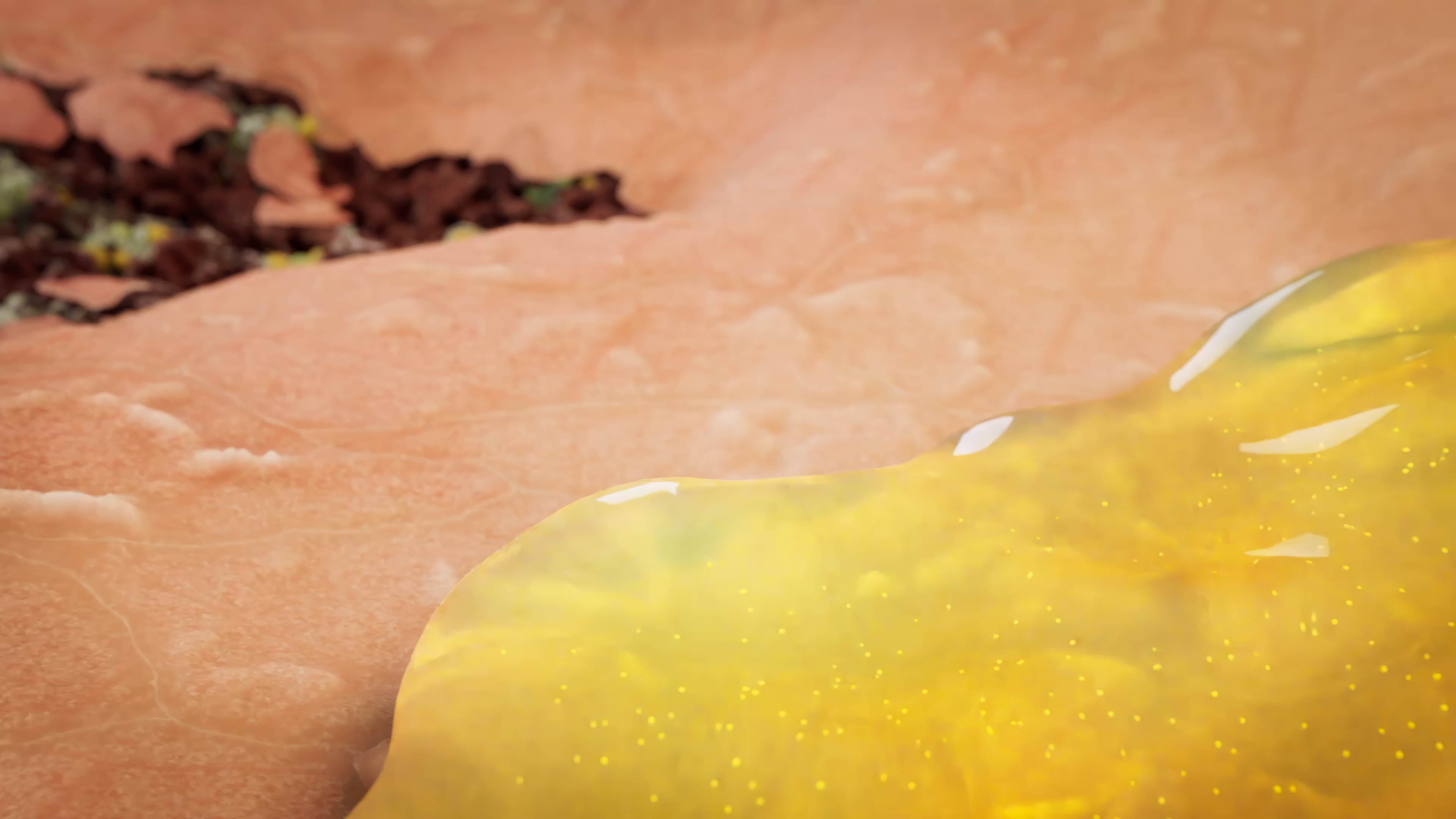 Debridement mixture applied to the would on the skin