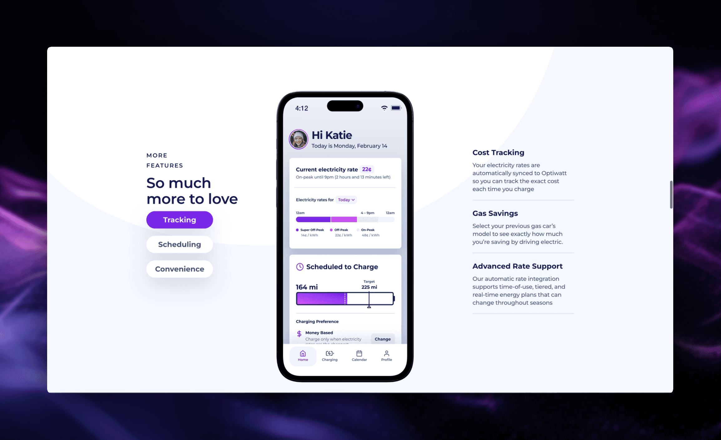 optiwatt page section 2