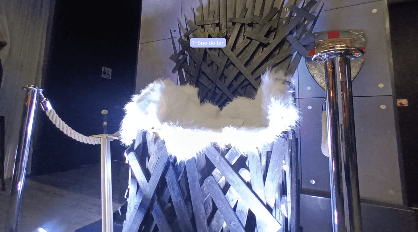 decor-soiree-theme-trone-de-fer.jpg