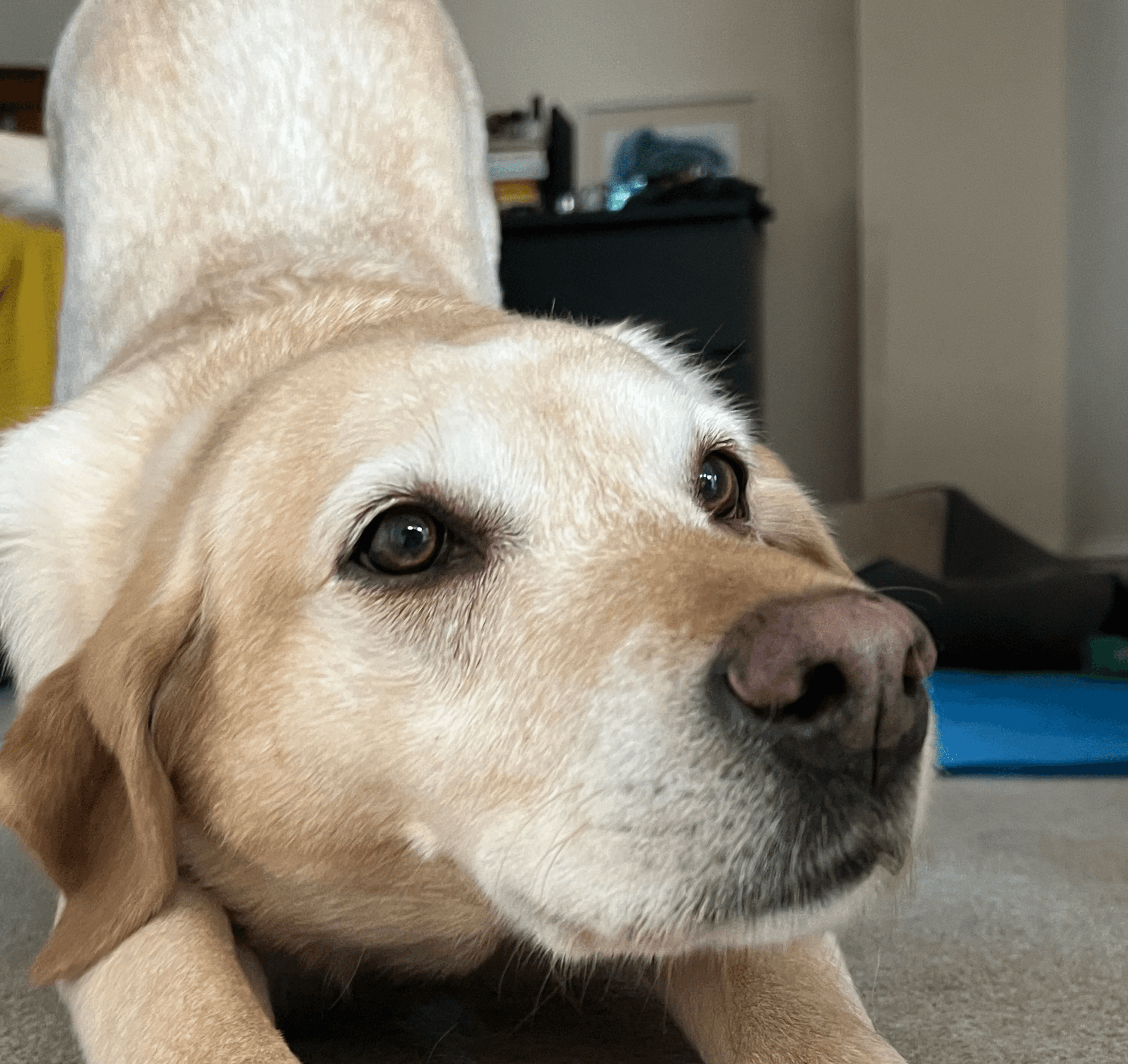 blue sky and white clouds over the sea