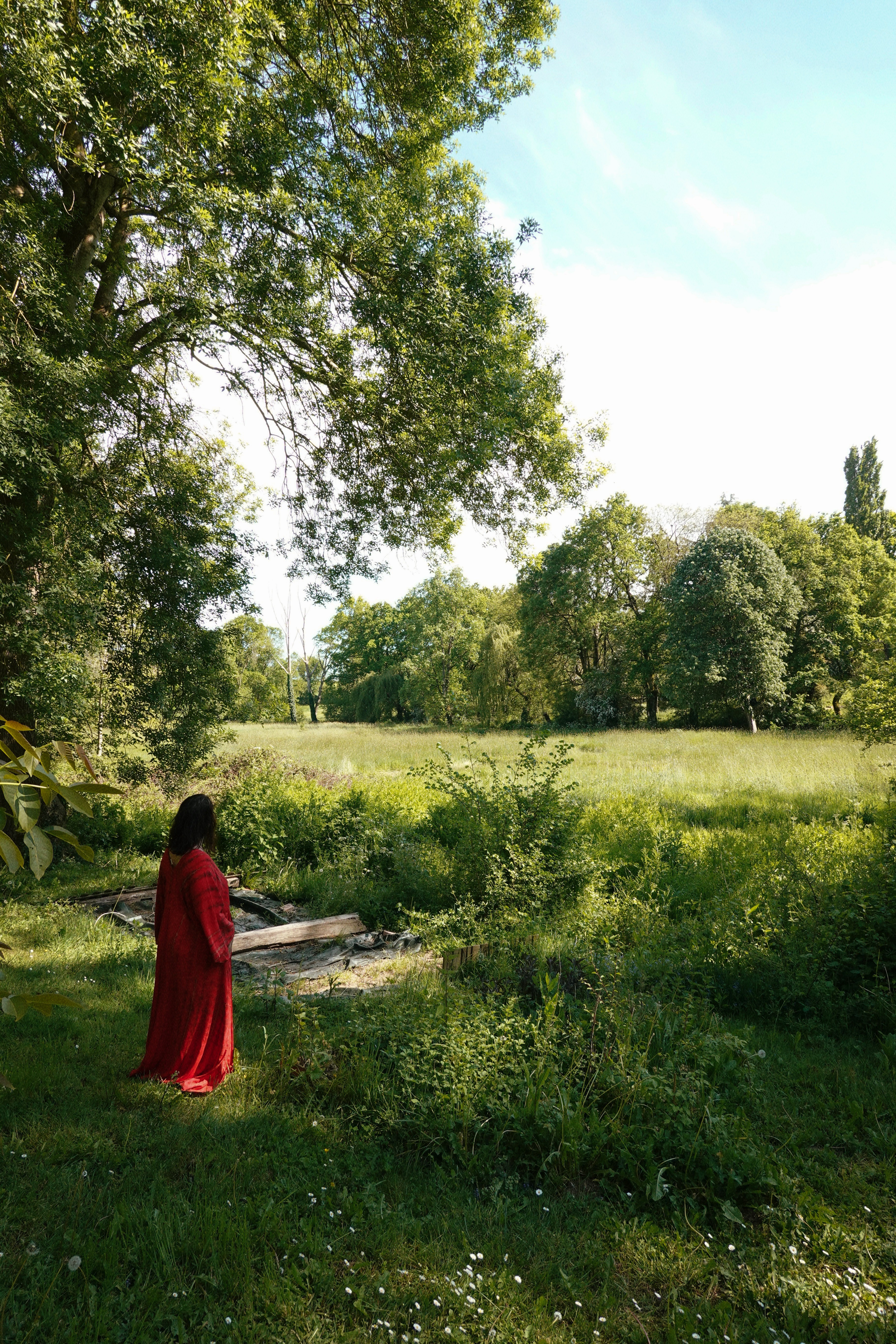 Women portrait image