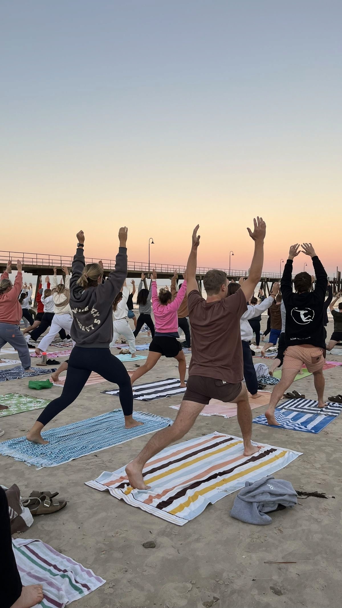 Close-up of a dark green leaf showing its textured surface and central vein against a muted background.
