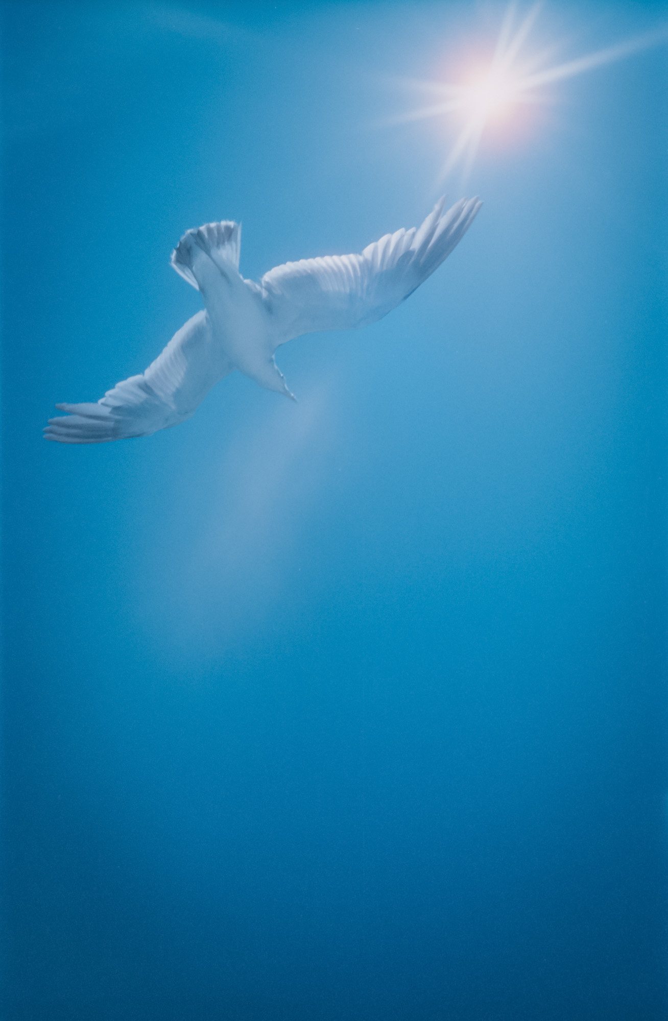 Taisei Matsumoto, index photograph 03