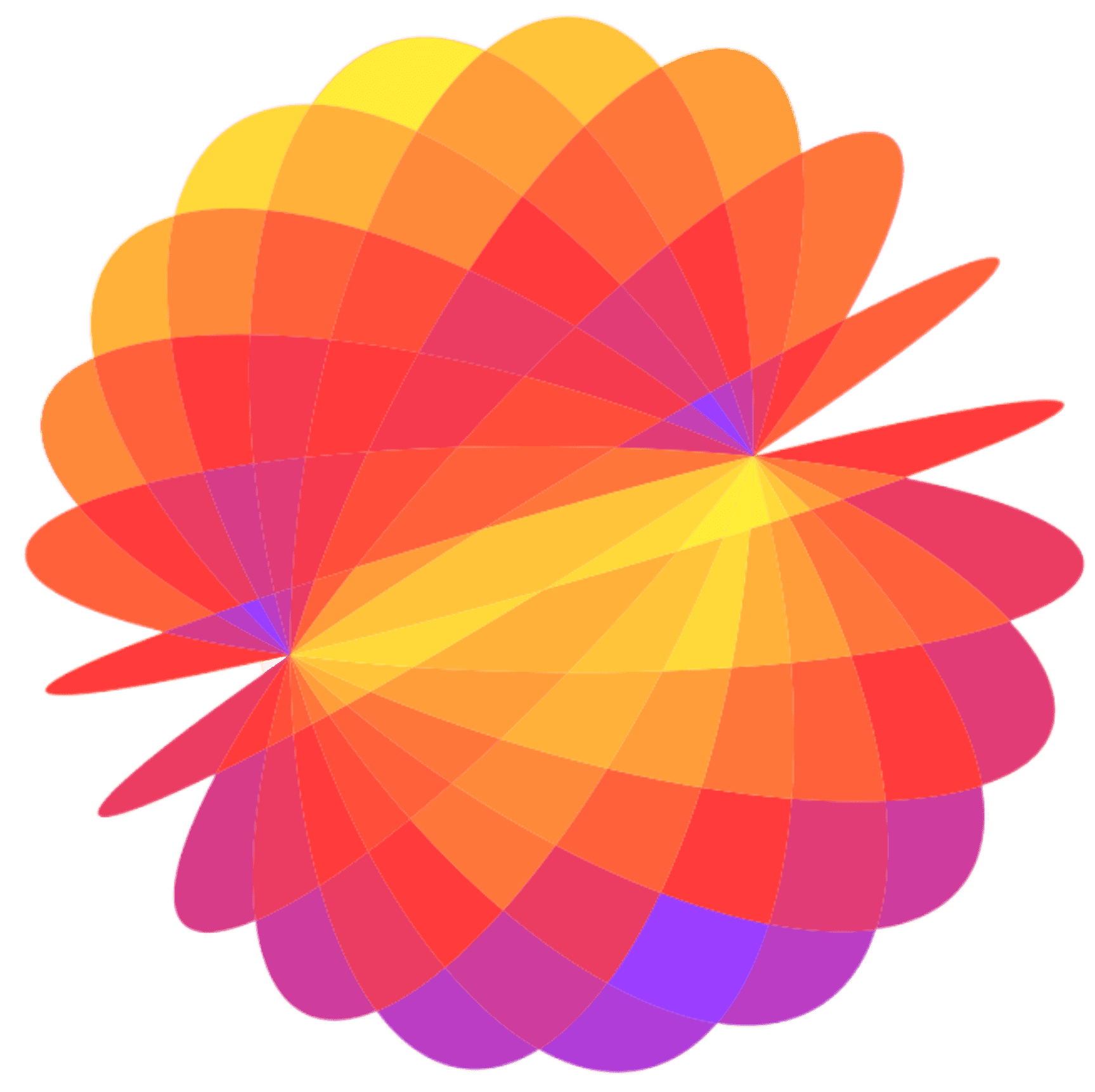 torus abstract object