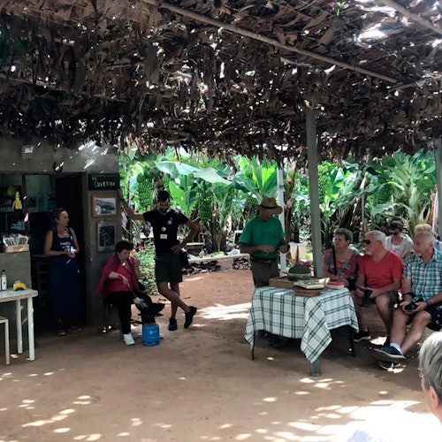 一群人坐着和站在一个质朴的、绿荫的天篷下，周围摆放着桌子。绿色的热带植物环绕着这个区域。