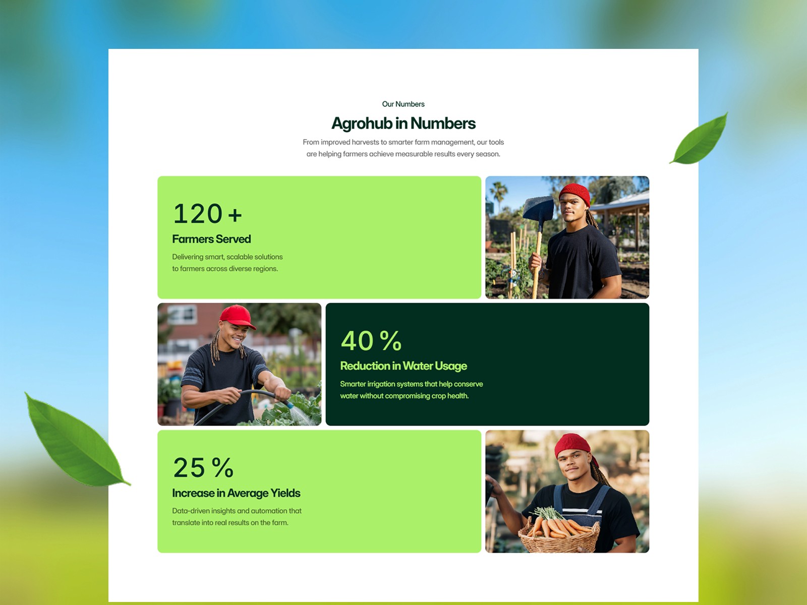 Agrohub — 现代专业餐饮品牌网站设计灵感