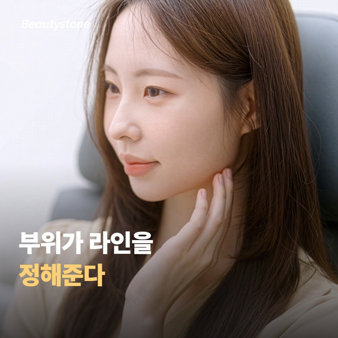 어느 라인이 나에게 맞을까
