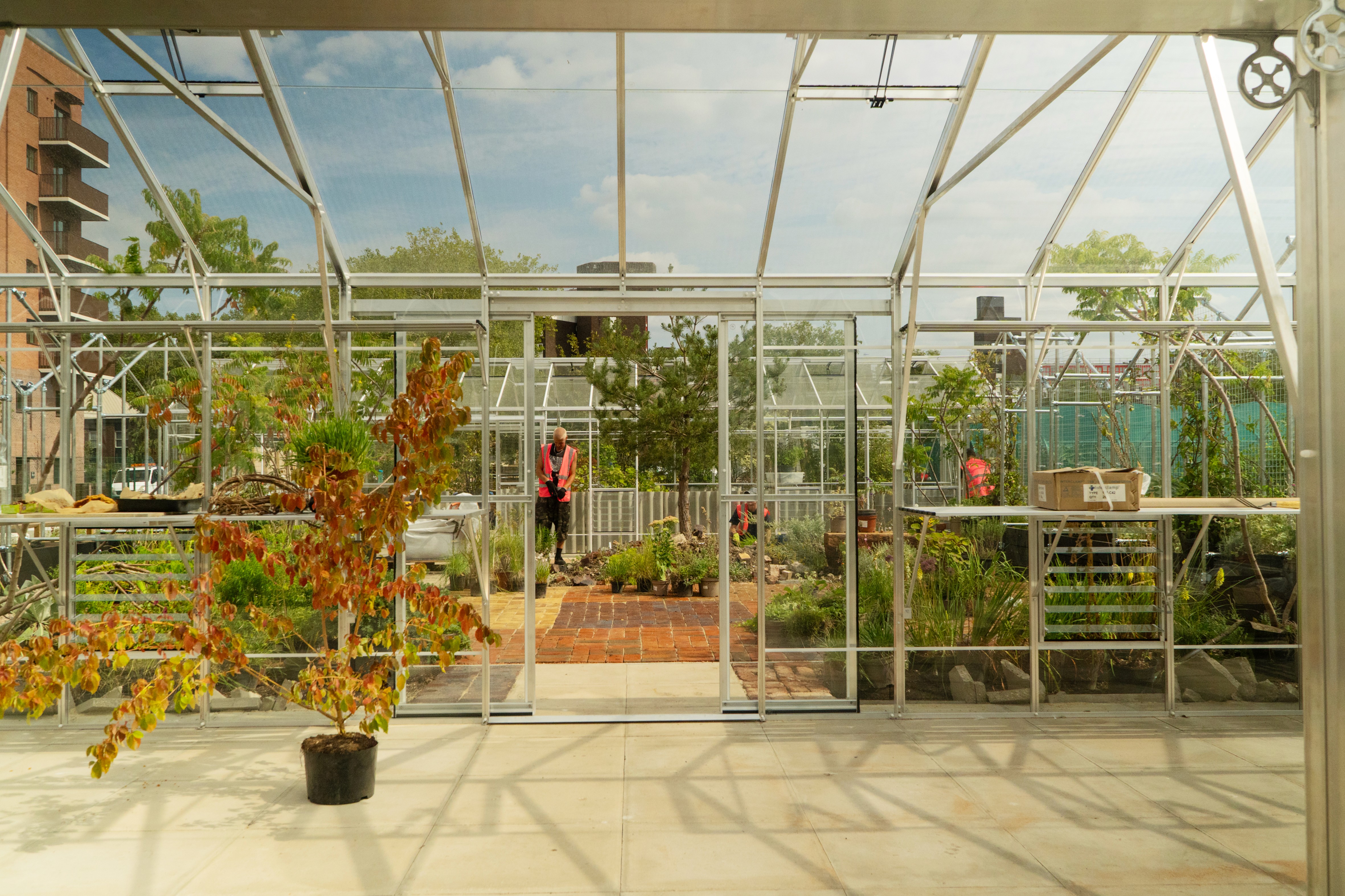 Glass greenhouse structure with metal frame and transparent walls, viewed from inside looking outward. Potted plants and a small tree in autumnal colours sit on a concrete floor in the foreground. Through the central glass doors, a landscaped garden area with brick paving, shrubs, and a few young trees is visible. Two individuals in high-visibility vests are working among the plants outside. Surrounding the greenhouse are urban elements including neighbouring buildings and construction materials.