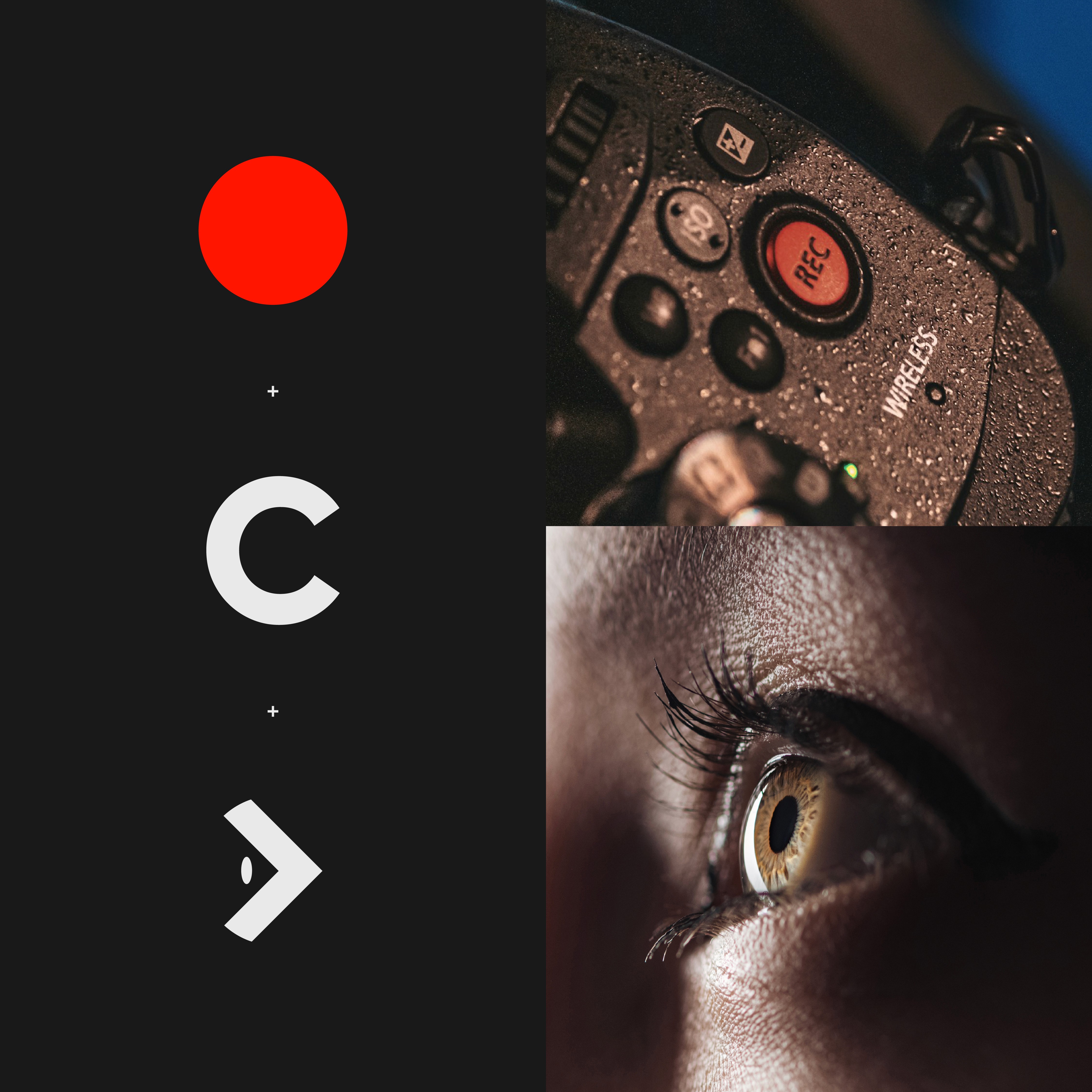 Modern home office setup with a monitor, ergonomic chair, keyboard, and indoor plants near a window with blinds.