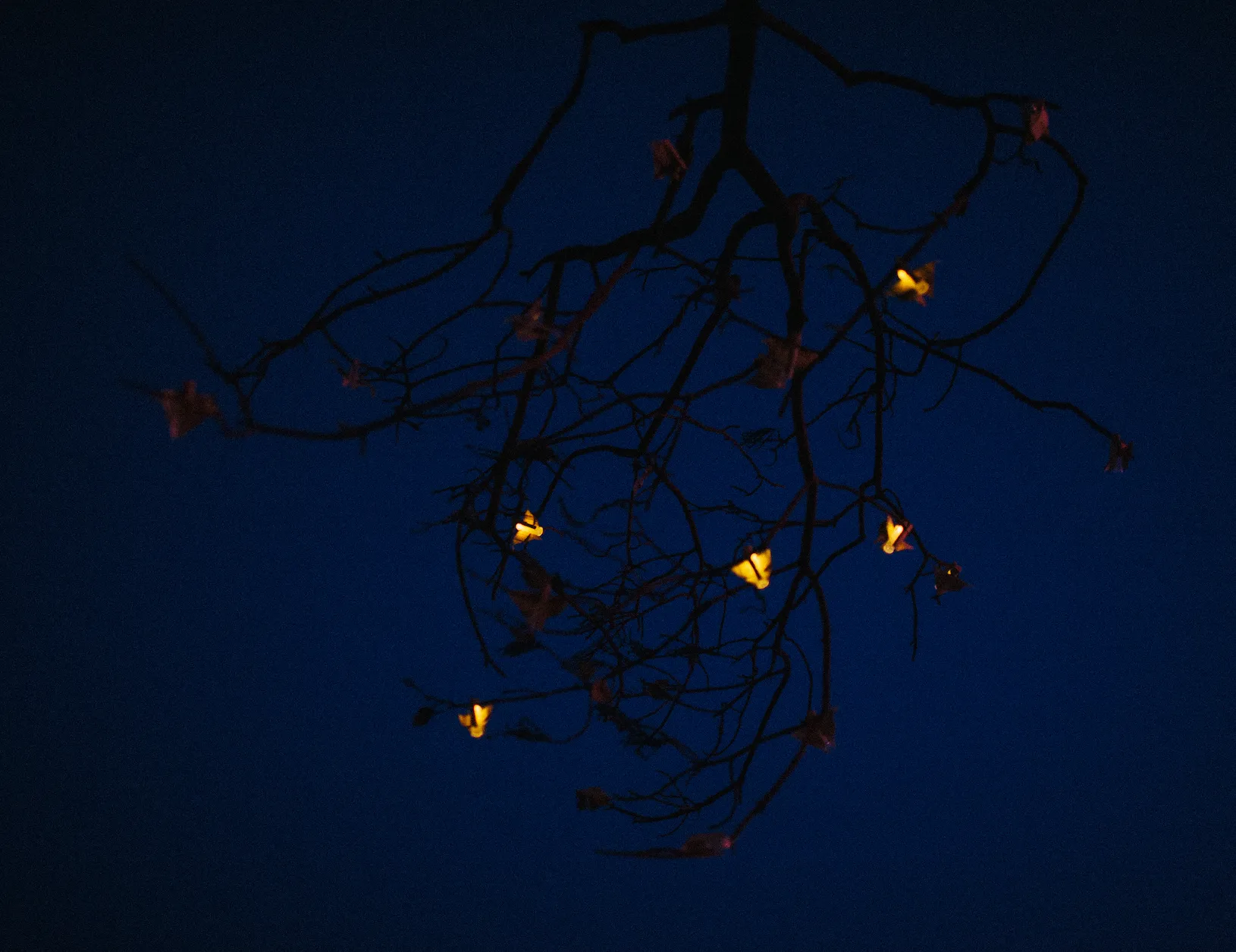 art installation of battery operated pulsing paper fireflies in glass tubes