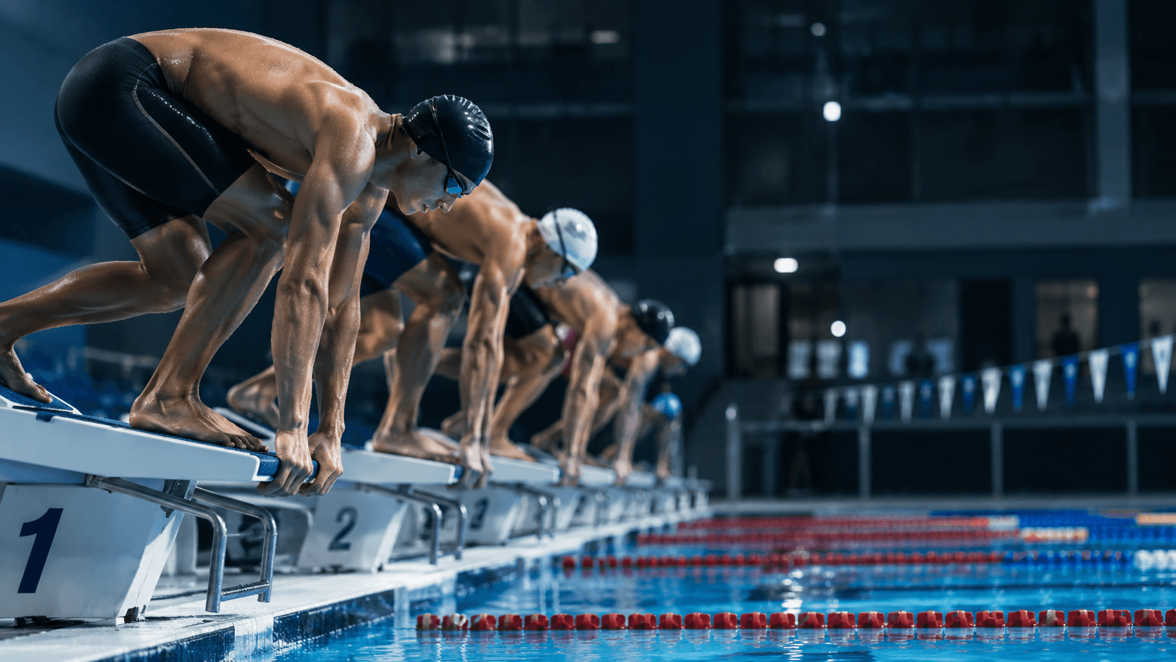 A group of swimmers