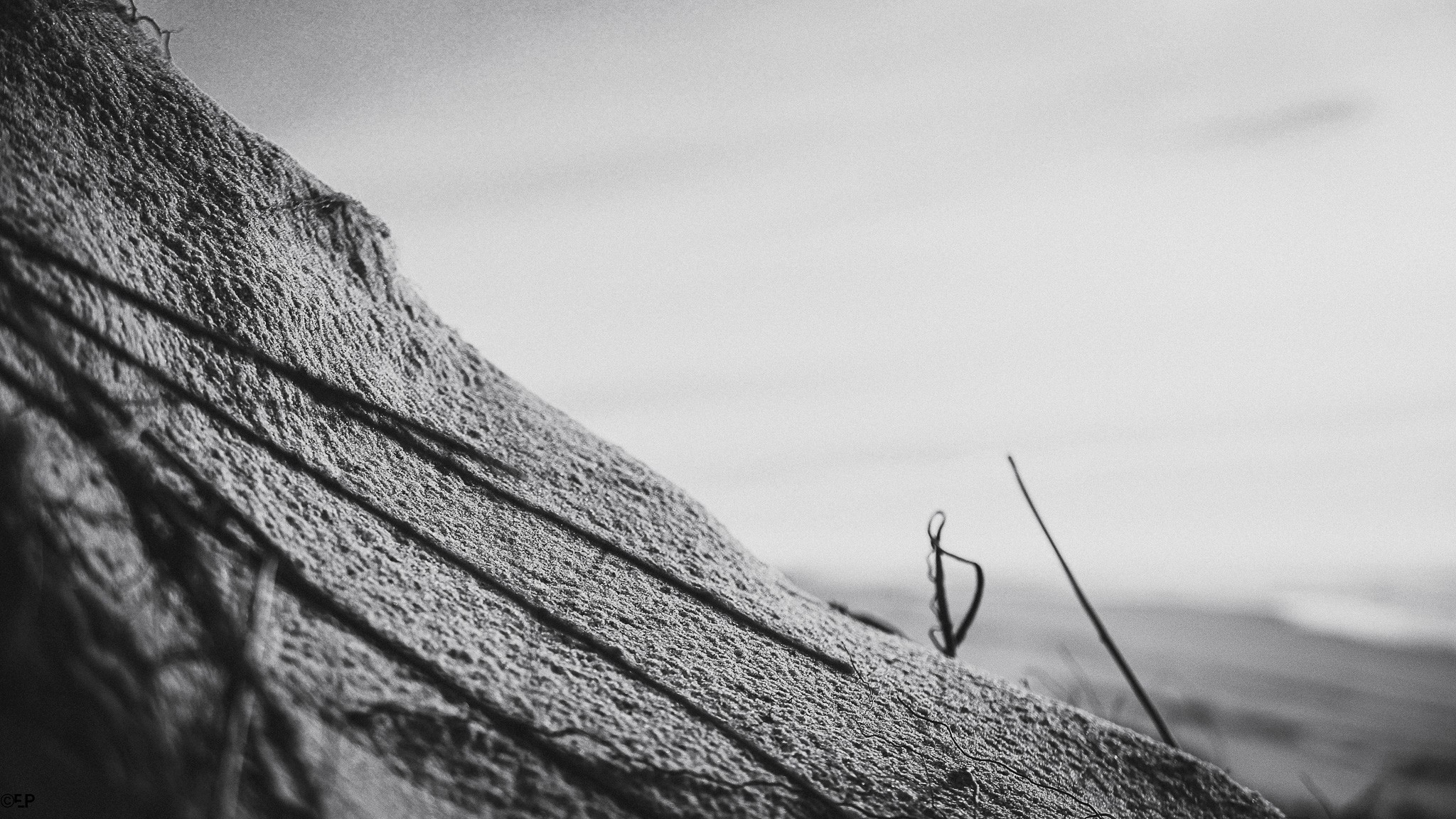 Parc André Citroen, Paris